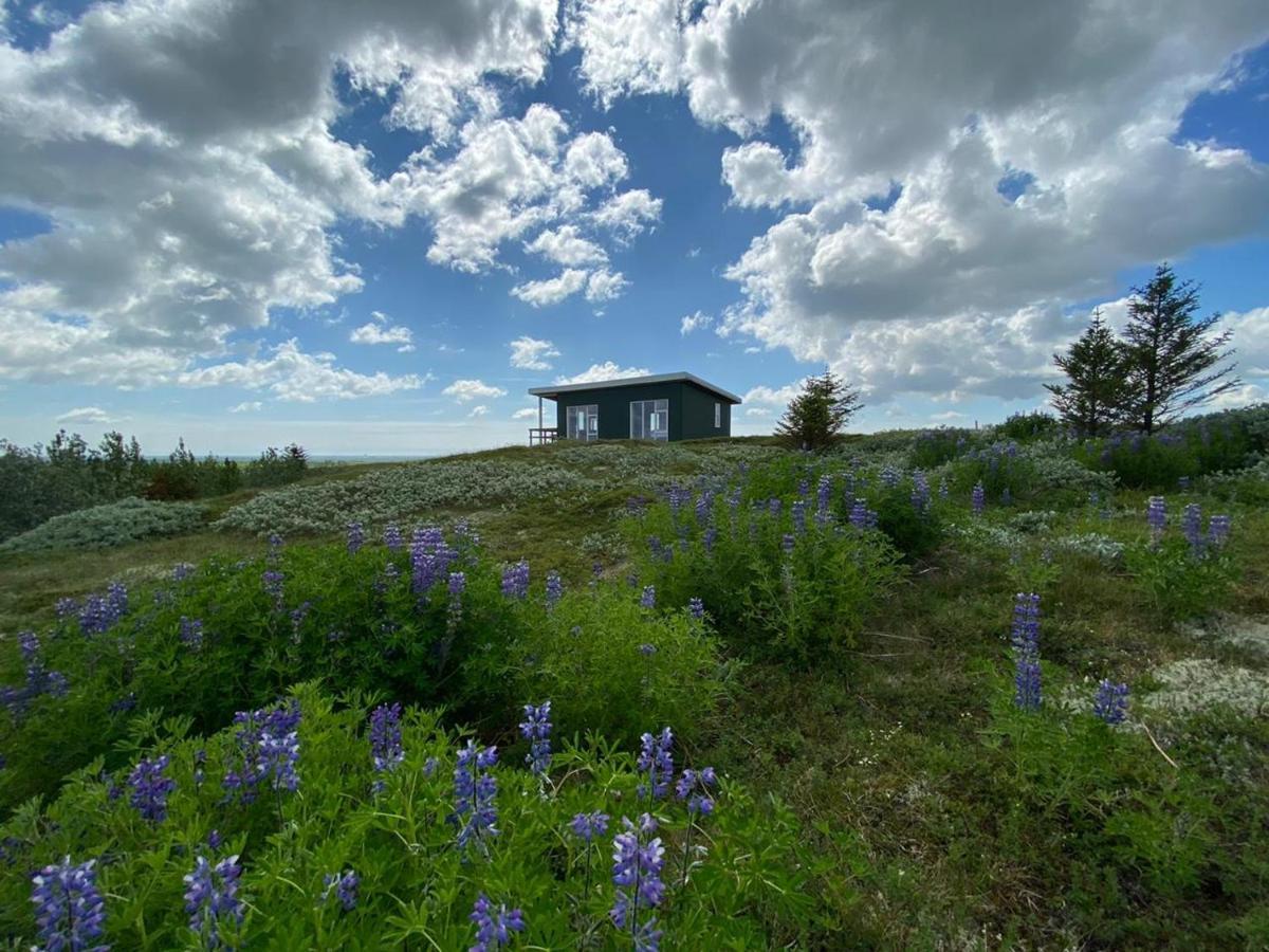 Villa Skeithvellir Panorama House Hella Esterno foto